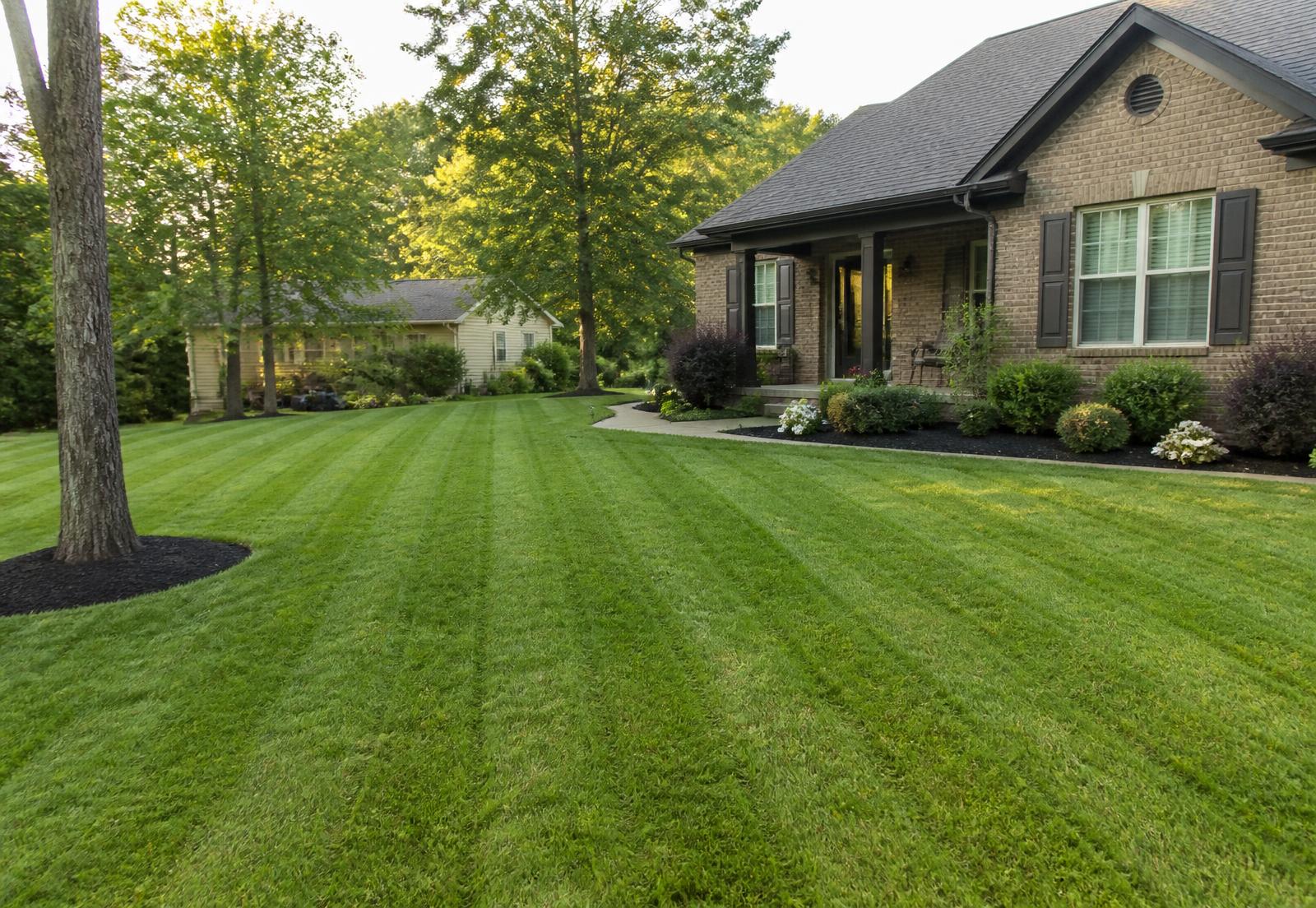 A well-maintained residential lawn in Central Arkansas